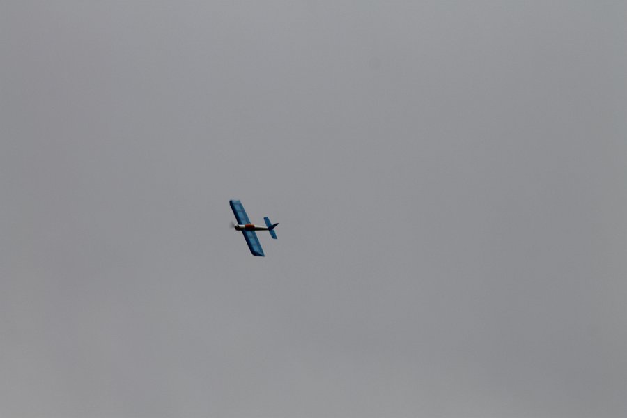 IMG_3168.JPG
