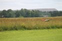 IMG_3224